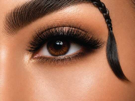 The Brow Stylist