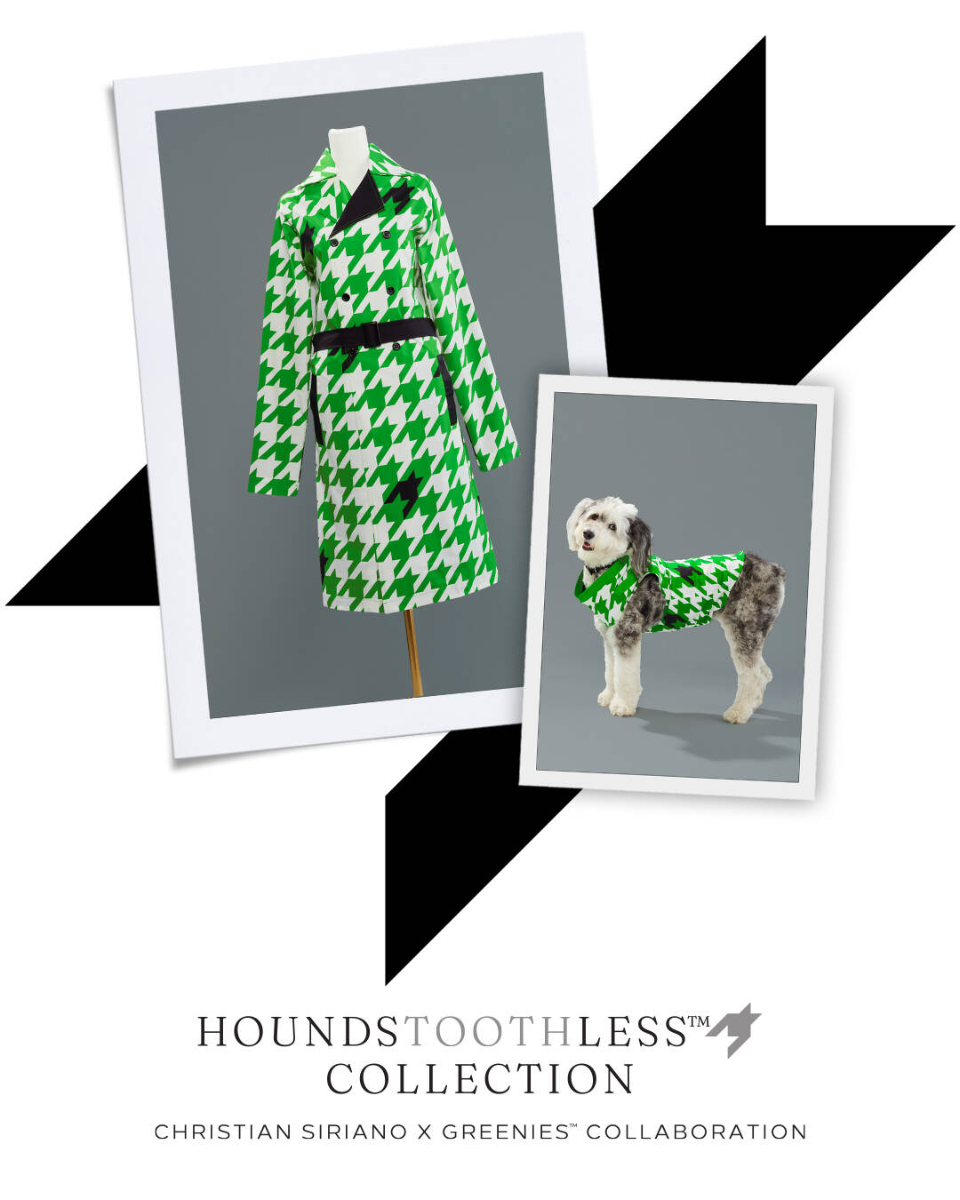 Greenies: HOUNDSTOOTHLESS™ • Ads of the World™