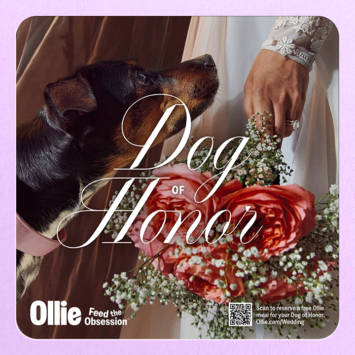 Til death do us bark!  Image