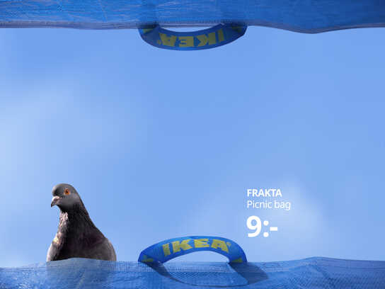 FRAKTA Point Of You