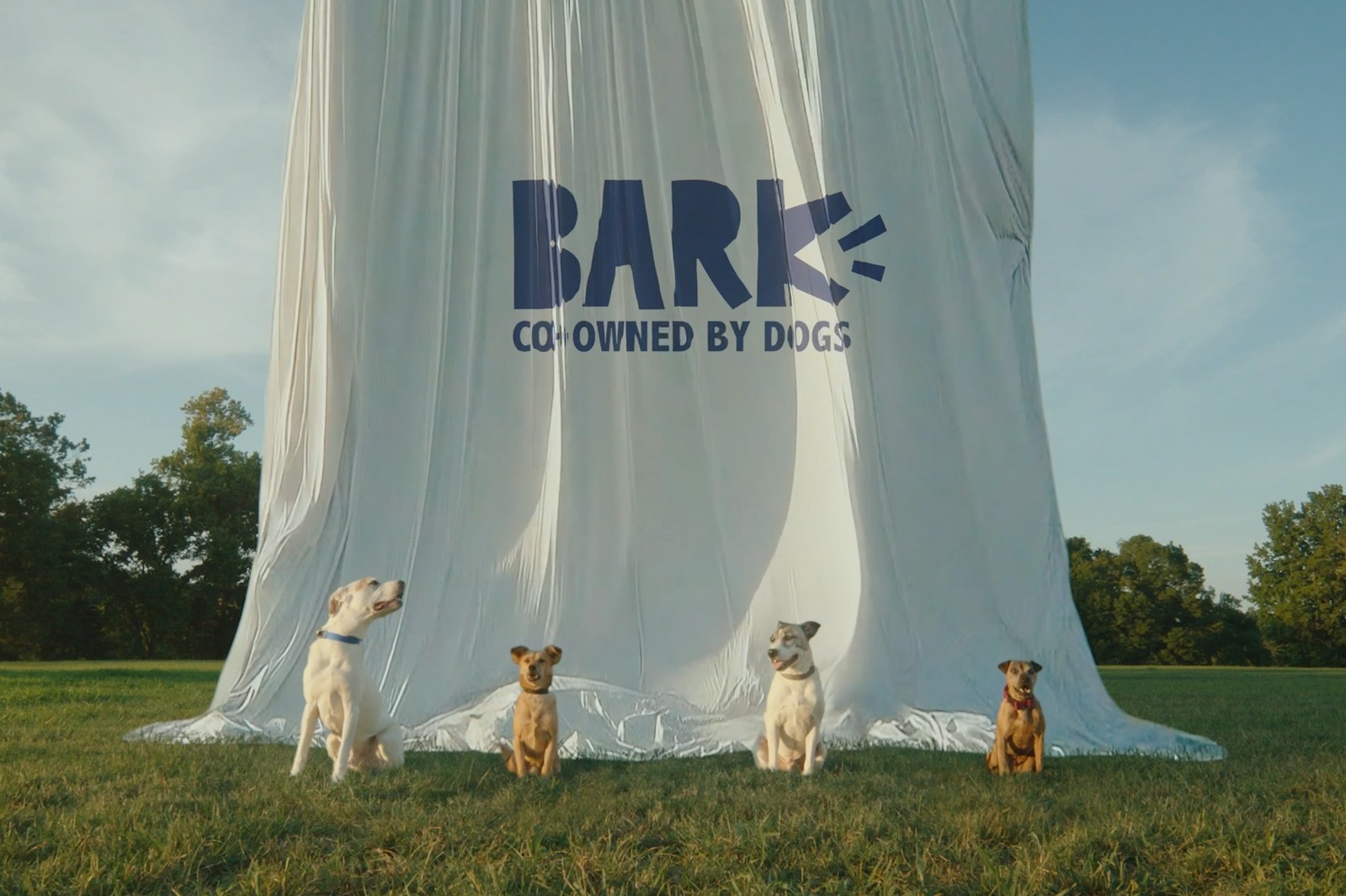 BARK in the Belly Image