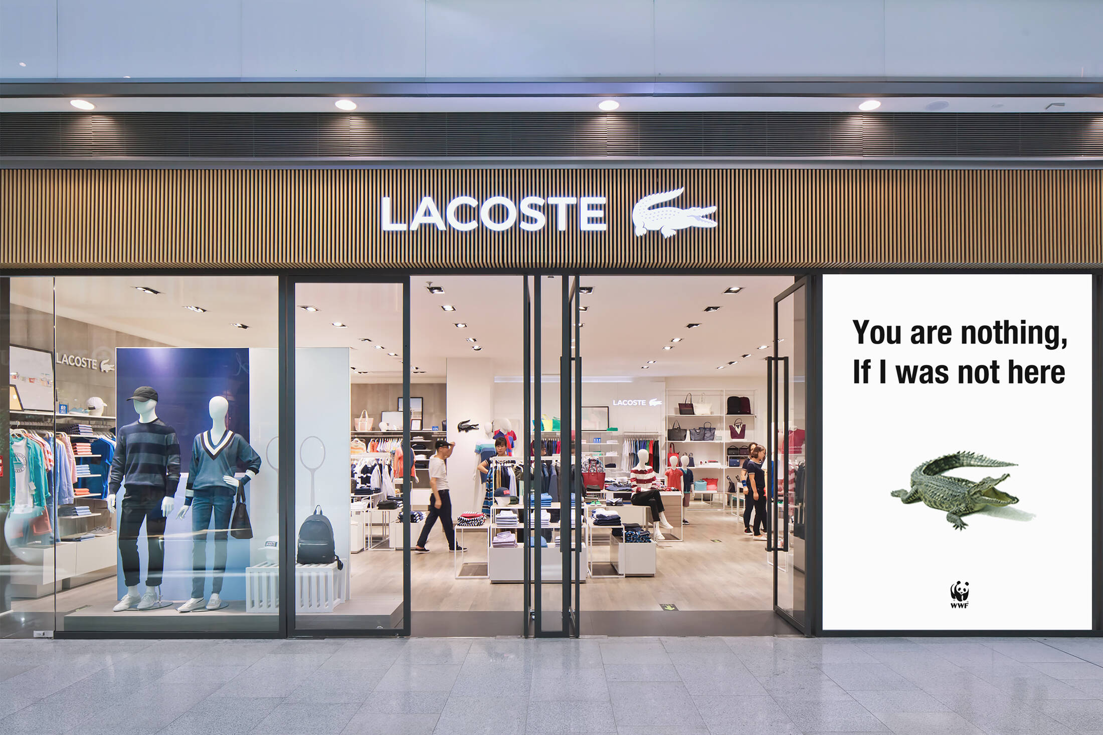 Lacoste wwf best sale