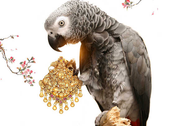 Nature’s Divine Legacy in Gold