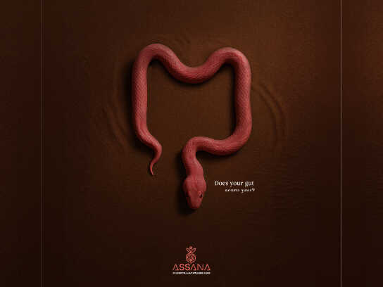 Does your gut scare you?