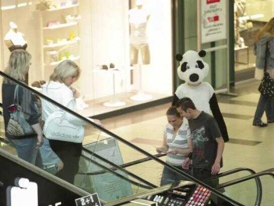 Pandas in the mall