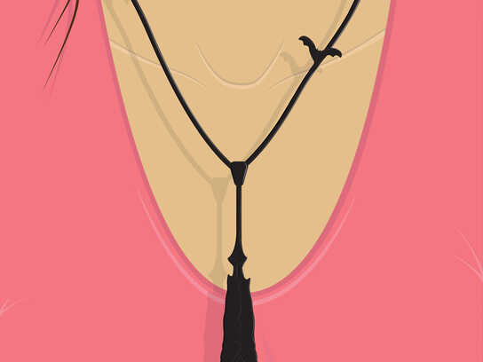 Details Made Obvious