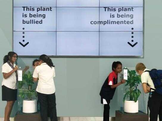 Bully A Plant: Say No To Bullying