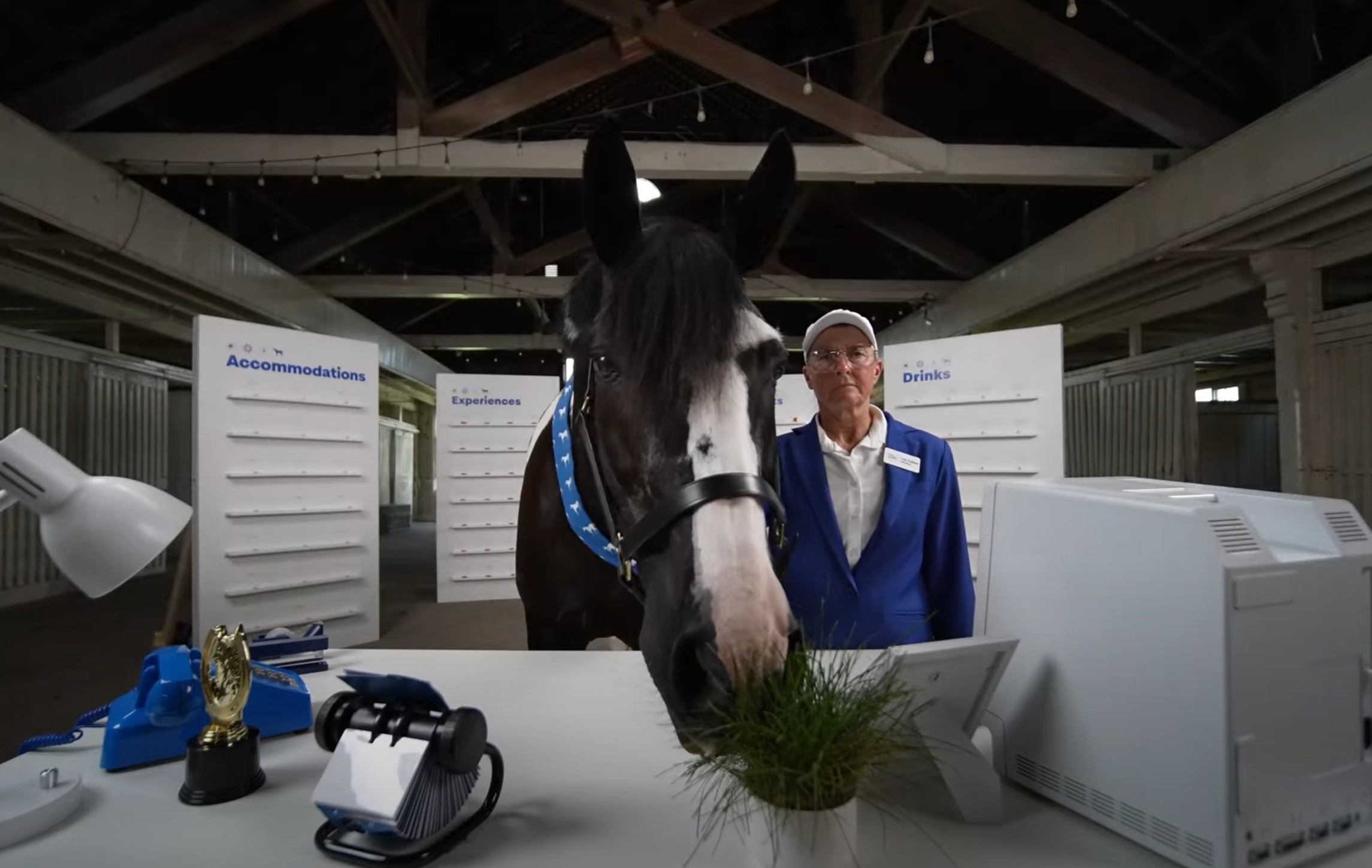 Neigh-I Image
