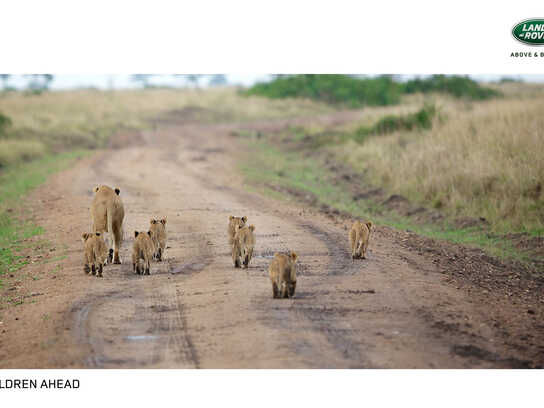 Children Ahead, Zebra Crossing, Heavy Traffic