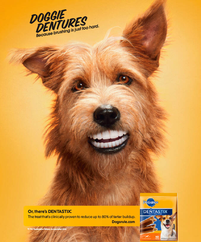 Pedigree dog food sales commercial