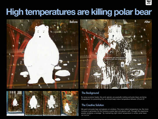 High temperatures are killing polar bear