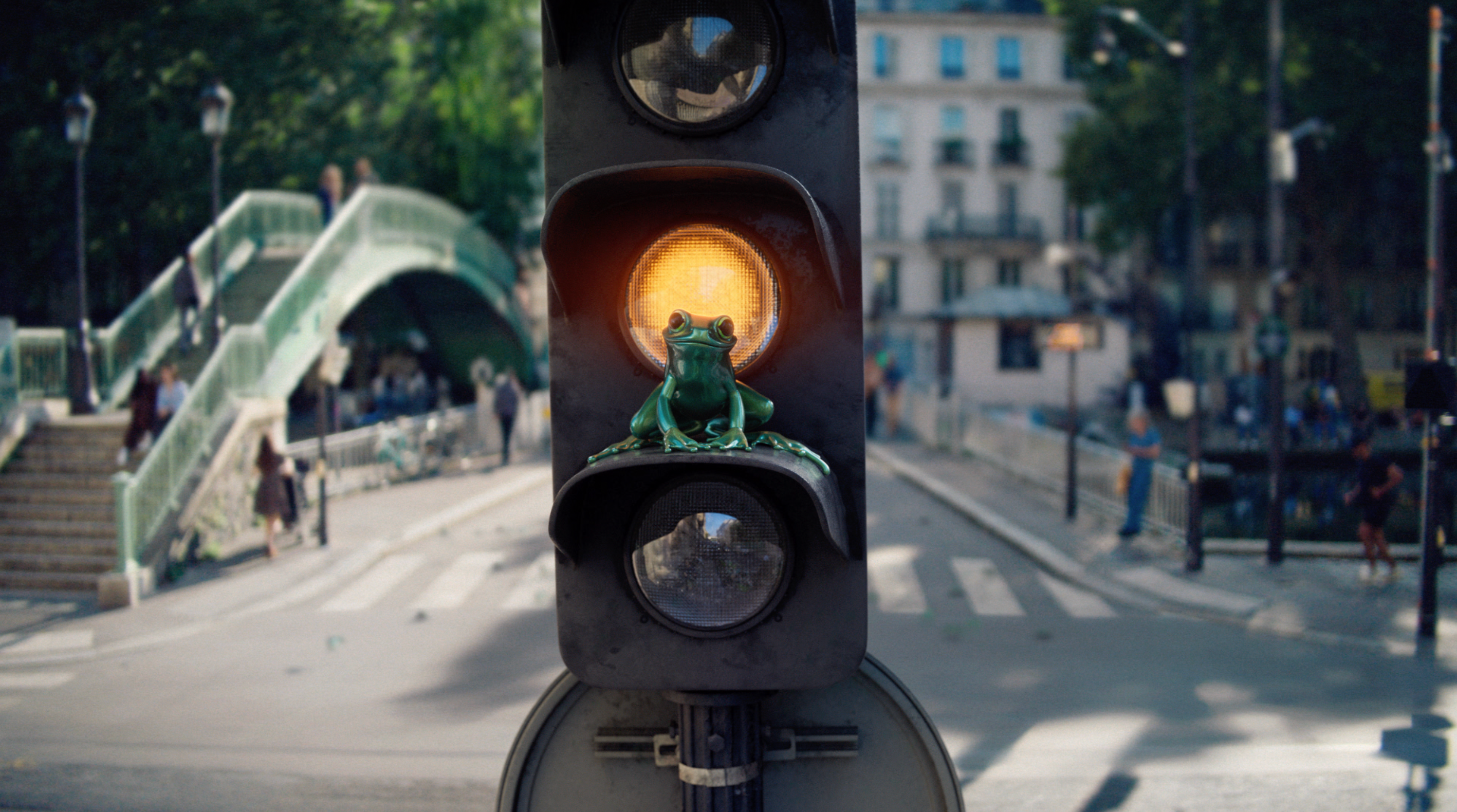 Frog in the City Image