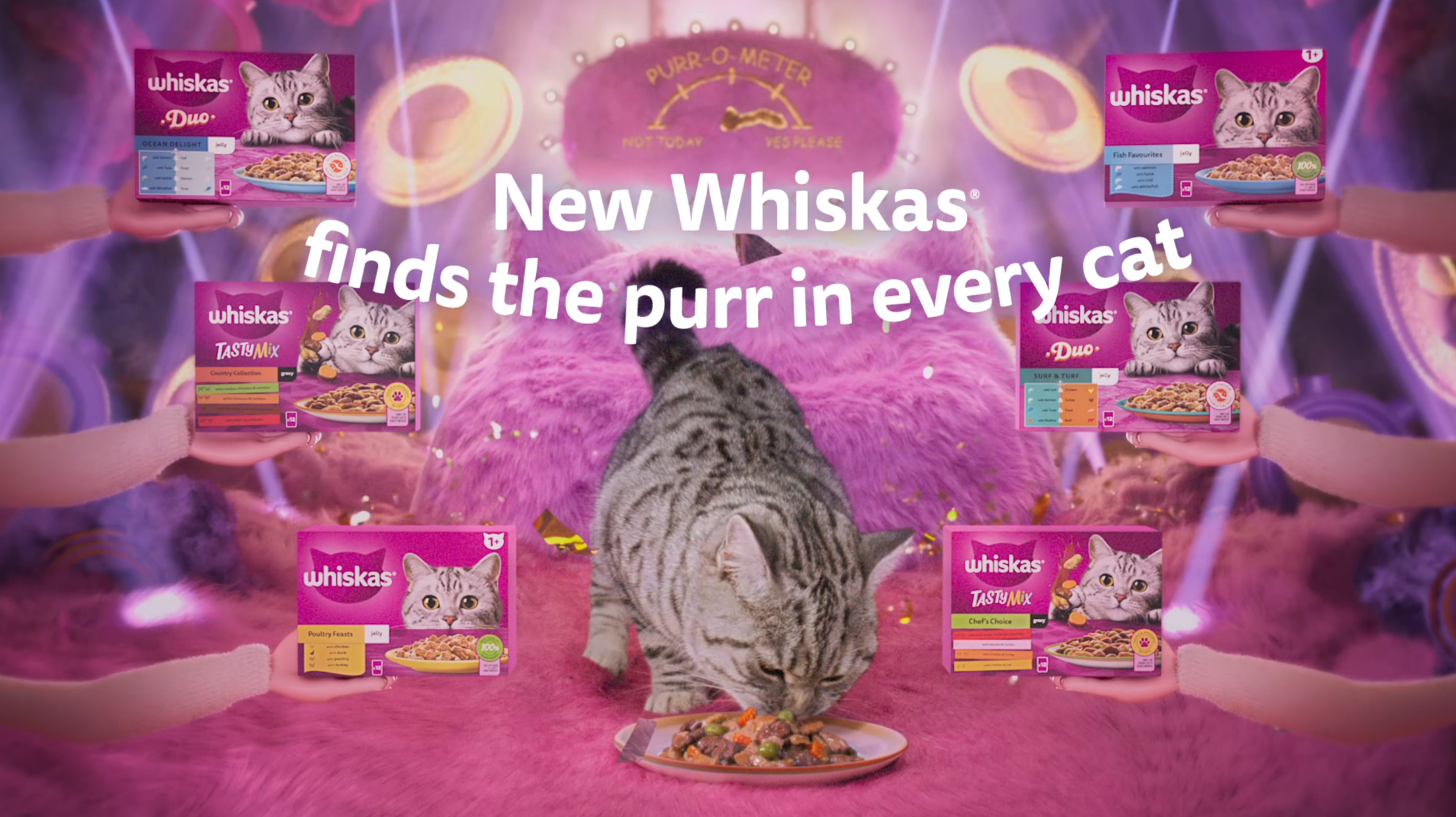 Whiskas 2025 cat commercial