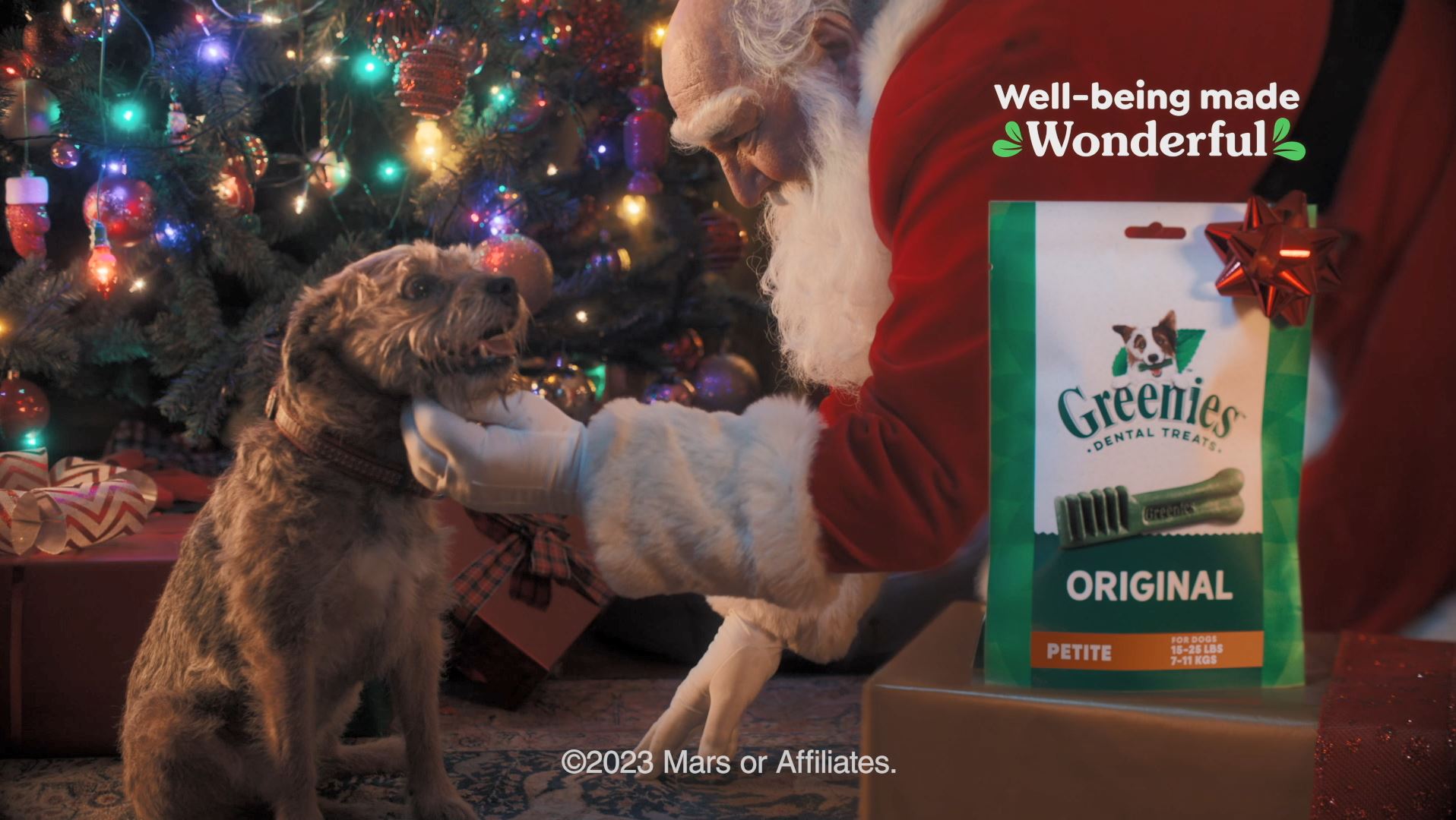 Fresh pet christmas commercial sale