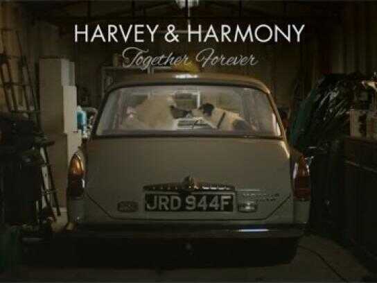 Harvey &amp; Harmony