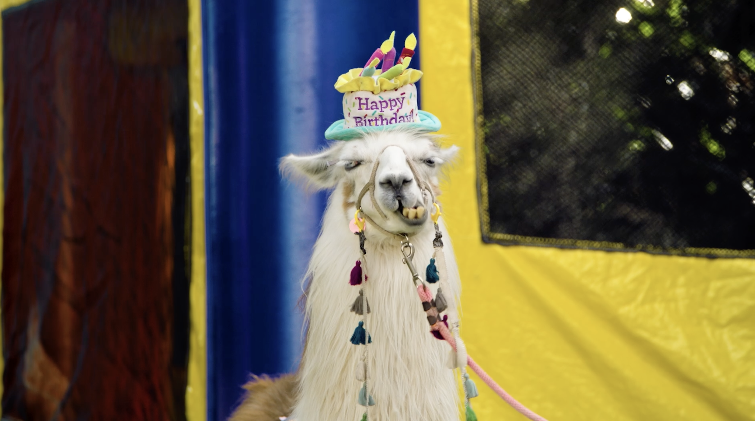 Bring Home More Good Image