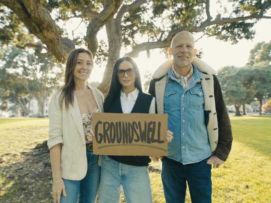 Groundswell