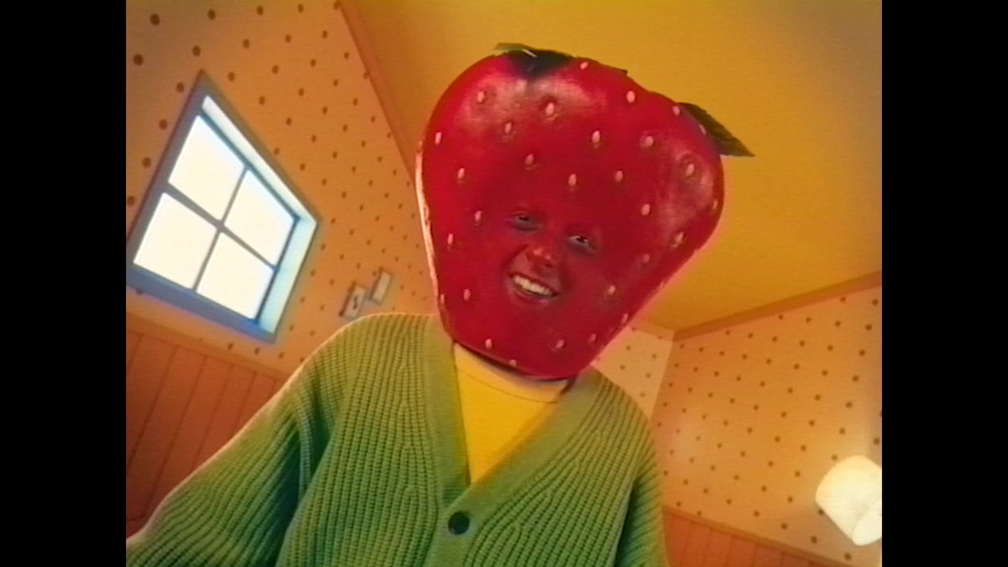 FruitHead Image