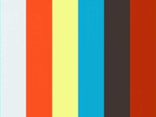 Pets, Gaming, Translation