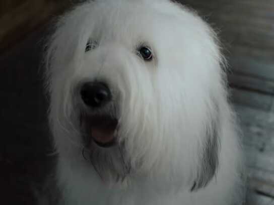 Life Is What You Paint It