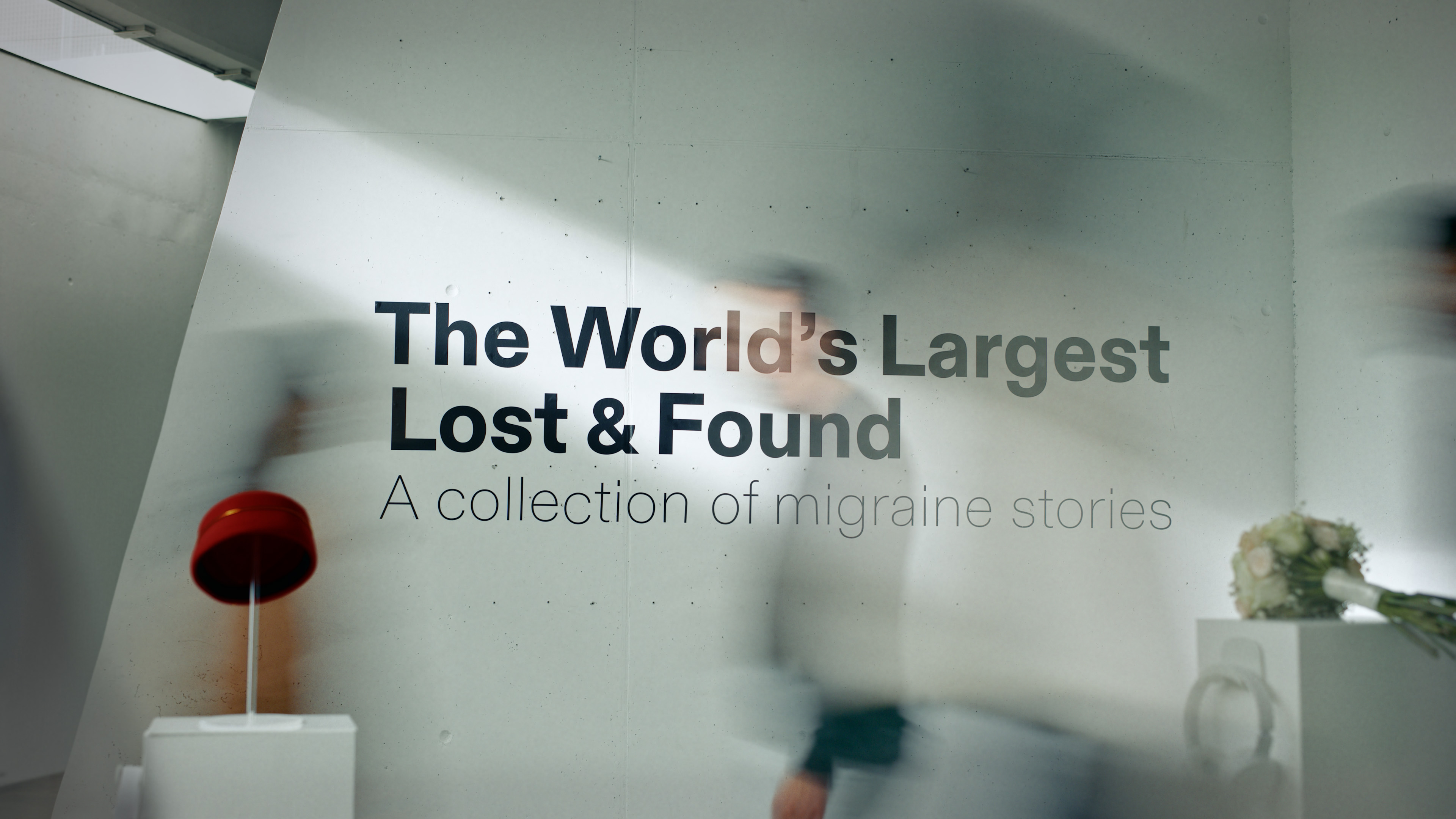 THE WORLD'S LARGEST LOST & FOUND Image