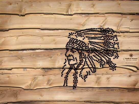 Indianer, Rodeo, Cactus, Skull