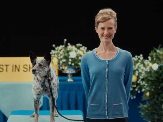 Best In Show
