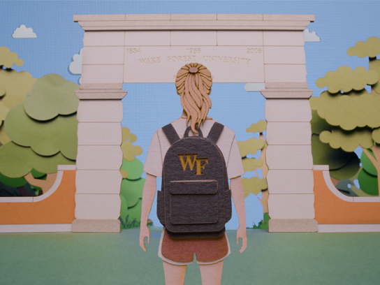The Paper Journey Image