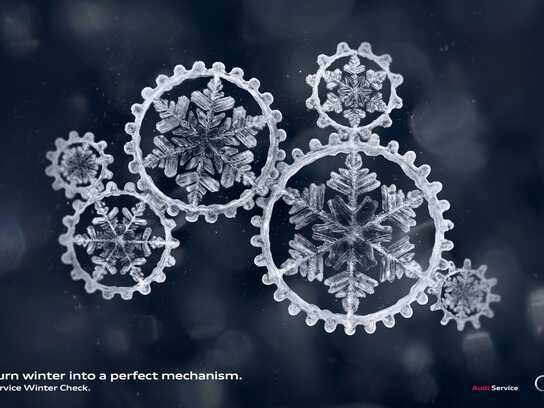 Snowflakes