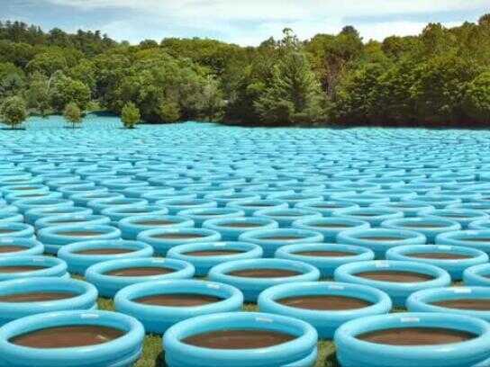 That's a lot, Catch, Traffic, Jetlag, Market, Backpacker