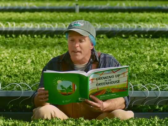 Most Loved Lettuce