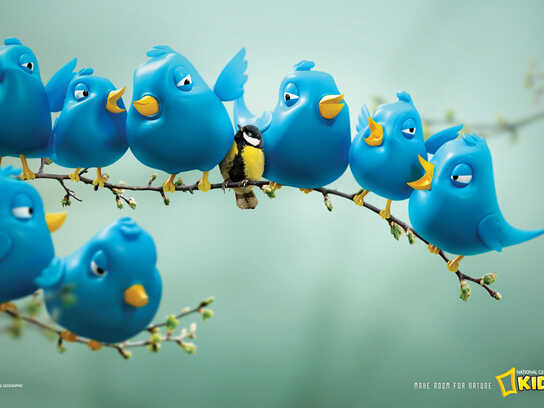 Twitter Birds