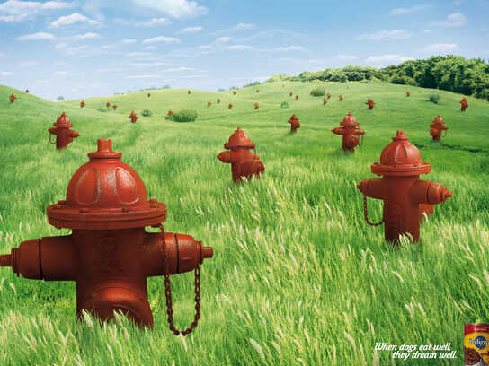 Hydrants