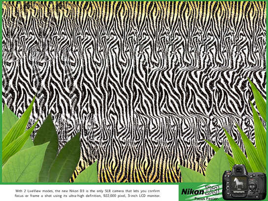 Autostereogram, Zebra