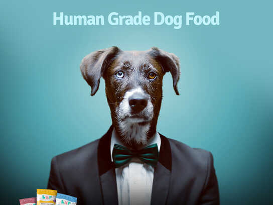 Human grade dog food