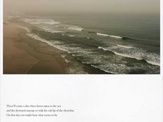 Ocean, Rainforest, Ice