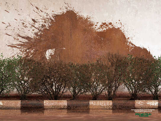 Powerful Mud Splash, Hungry Chameleon