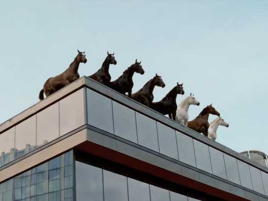 The Horses Are Calling