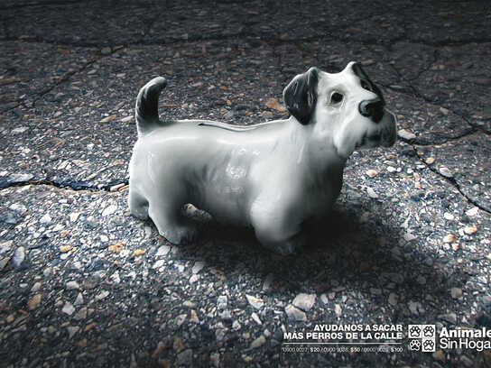 Donations, Dog 2, Donations, Dog 1, Donations, Cat