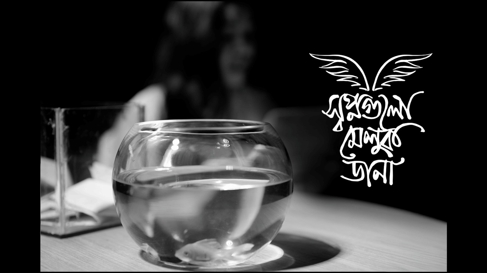 When Dreams Soar Image