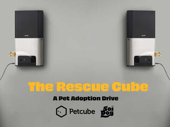 The Rescue Cube - A Pet Adoption Drive  