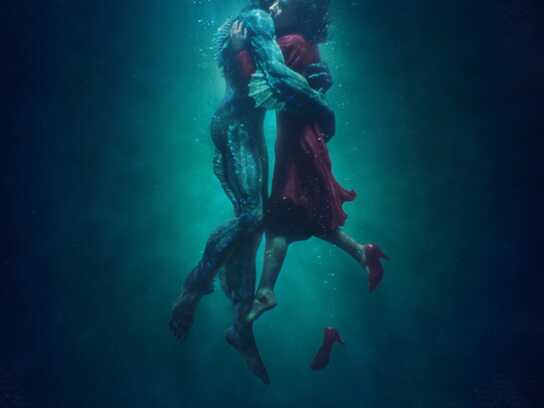 The Shape of Water