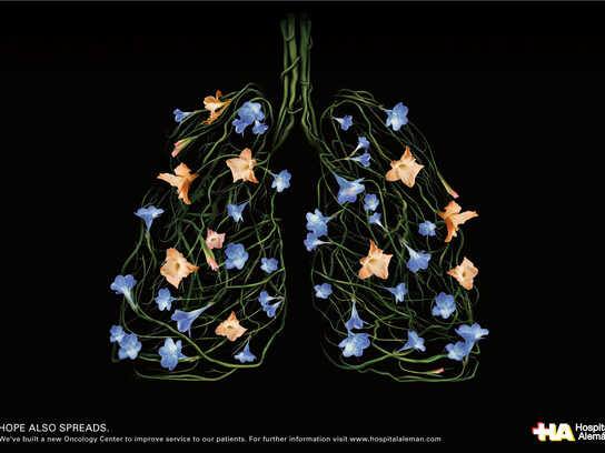 Lungs