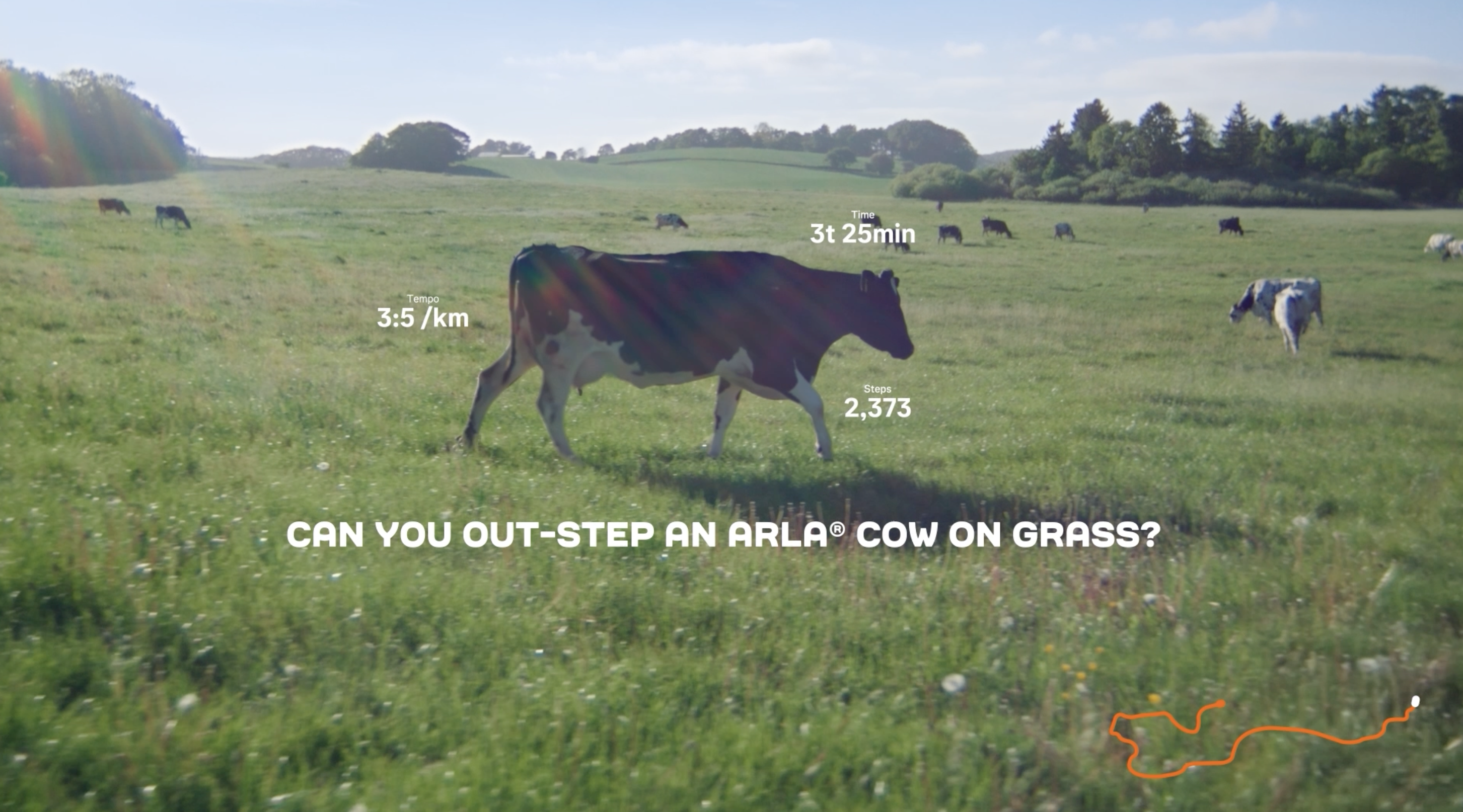 Cow Step Challenge Image