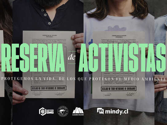 The Activist Reserve