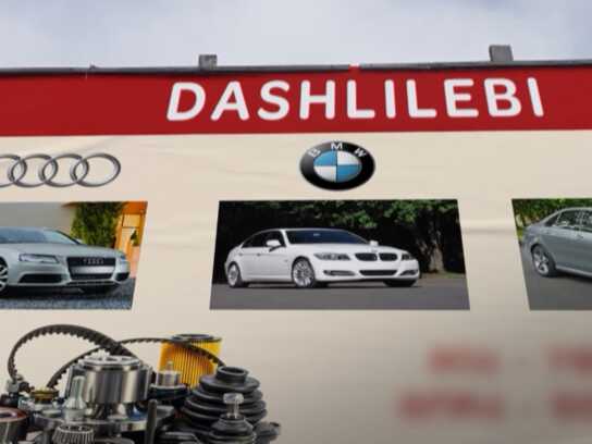 Dashlilebi - Kids edition