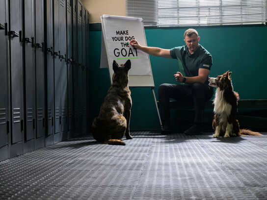 When a G.O.A.T Joins the Pack