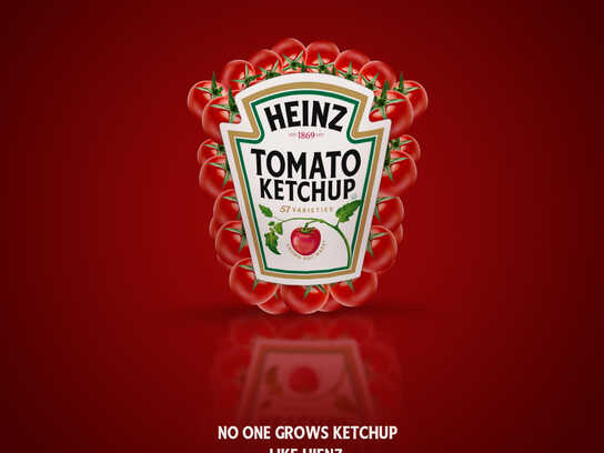 Heinz Tomato Ketchup