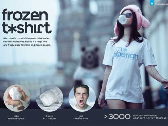 Frozen T-Shirt