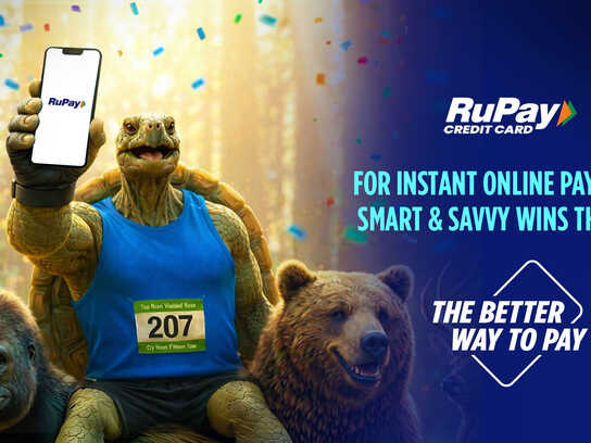 The Great Tortoise Race